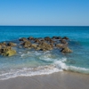 Holiday Inn & Suites Boca Raton - North by IHG gallery