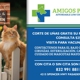 AMIGOS PET CLINIC