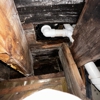 Mold Hunters Mold Remediation gallery