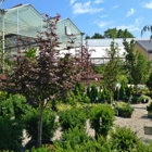 Family Tree Nursery