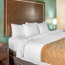 Comfort Inn & Suites San Marcos near Outlet Mall