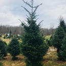 Hill's Christmas Tree Farm - Christmas Trees