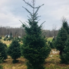 Hill's Christmas Tree Farm