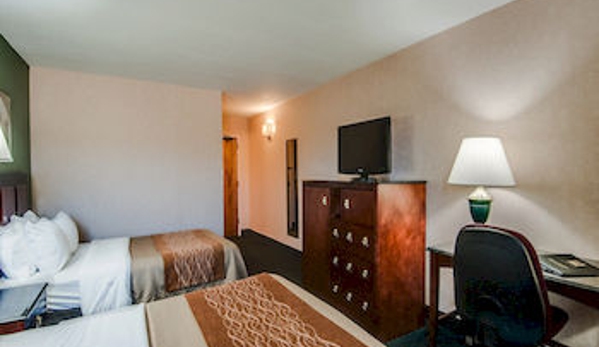 Comfort Inn Virginia Horse Center - Lexington, VA