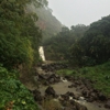 Waimea Valley gallery