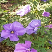 Gallery Image Number 7