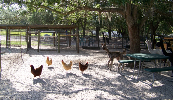 Alpaca Magic USA - Homosassa, FL