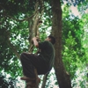 Giraffe Tree Services gallery