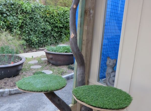 Kit-e-Kat B & B Shellharbour - Barrack Heights, NSW