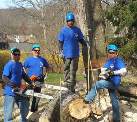 O'Brothers Tree Service LLC - Bergenfield, NJ