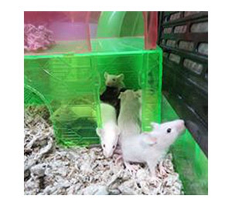 Boylans Garden & Pet Supplies - Bundaberg Central, QLD