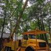 Clower Tree Service gallery