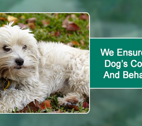 Maroondah Veterinary Clinic - Croydon, VIC. We Ensure Your Dog’s Comfort And Behaviour