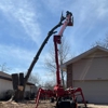 AAA Tree & Landscaping gallery