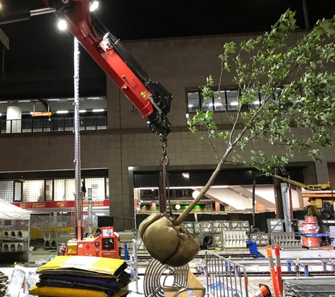 North Shore Crane Trucks - Belfield, NSW