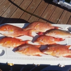 West Coast Native Fishing Charters