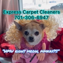 Express Carpet Cleaners - Carpet & Rug Cleaners