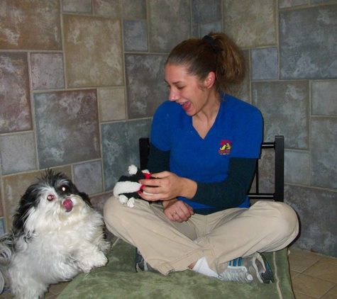 Best Friends Pet Care - Willow Grove, PA