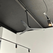 Gallery Image Number 3