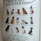 Tufts Veterinary Emergency Treatment & Specialties