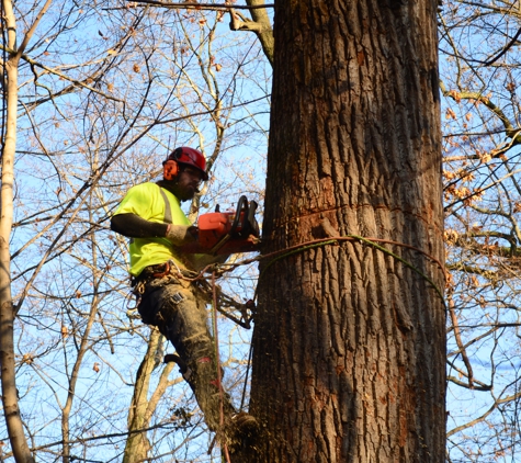 Arborist Enterprises, Inc. - Manheim, PA