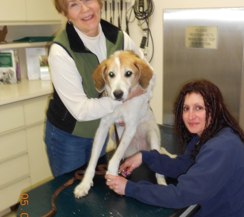 Ford Road Animal Clinic - Dearborn Heights, MI