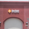 Banfield Pet Hospital gallery