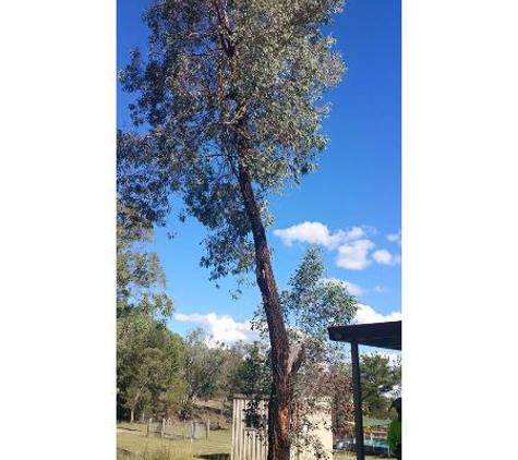 Bell's Tree Service - Oxley Vale, NSW