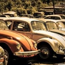 Beetle Werks - Auto Repair & Service