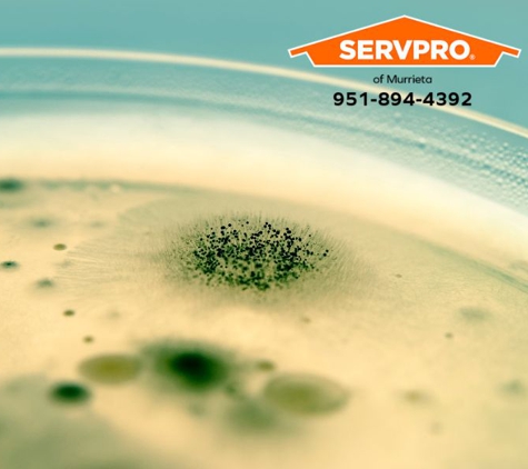 SERVPRO of Murrieta - Murrieta, CA