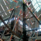 Scheels