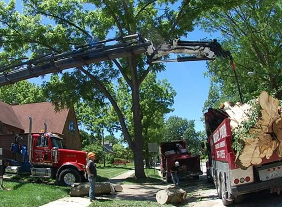 Poor Michael   Certified   Arborist - Urbana, IL