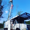 Freeman the Treeman - Tree Service