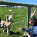 Crescent Moon Ranch