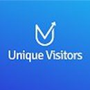 Unique Visitors-Digital Marketing Agency - Advertising Agencies