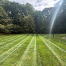 All Year Lawn