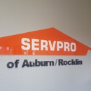SERVPRO of Auburn/Rocklin - Mold Remediation