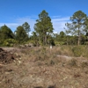 Beaver Stump Grinding gallery