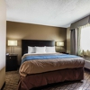 Comfort Inn & Suites Crystal Inn Sportsplex gallery