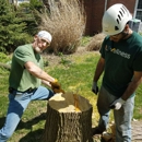 Hansen's Tree Service & Landscaping - Tree Service