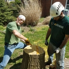 Hansen's Tree Service & Landscaping