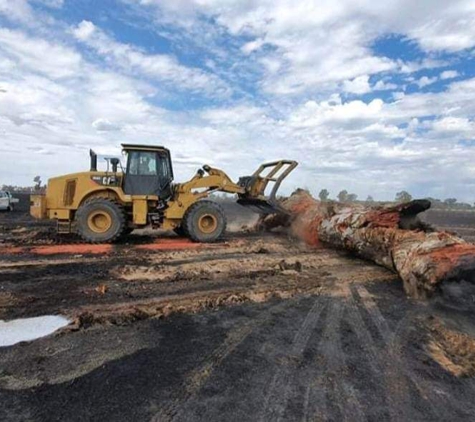 Nelson's Tree Services. Nelson’s Tree Services Can Provide Emergency Response Assistance