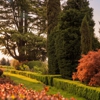Jenna Bayer Garden Design gallery