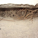 K & K Consultants Home Inspections & More - Real Estate Inspection Service