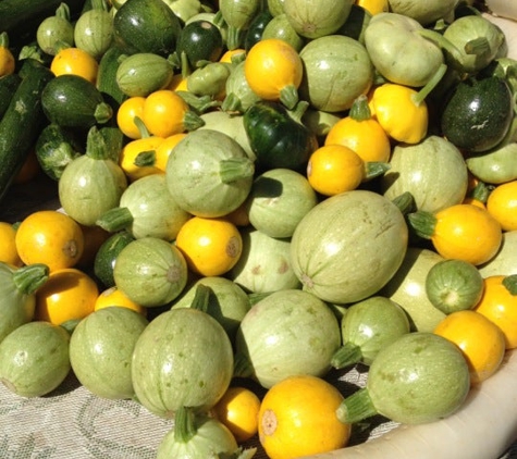 Venice Farmers Market - Venice, CA