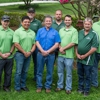 JL Tree Service gallery