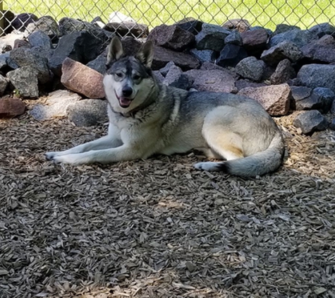 Camp K-9 Dog Boarding - Forest Lake, MN