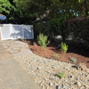 American Arbor Tree Care gallery
