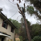 Valley Tree Service