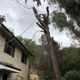 Valley Tree Service